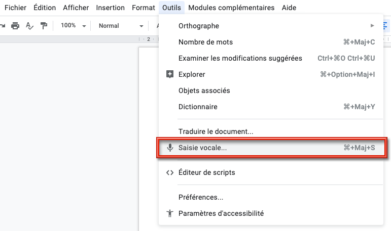 saisie-vocale-productivite-therapeute